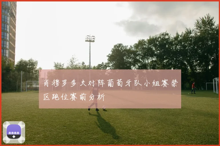 肖穆罗多夫对阵葡萄牙队小组赛禁区跑位赛前分析