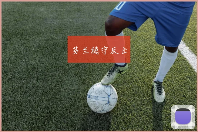芬兰稳守反击