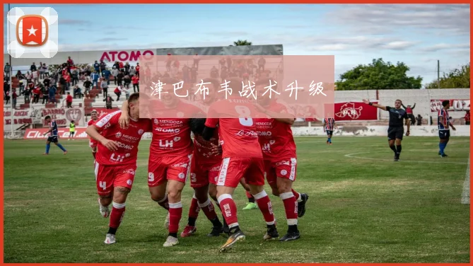 津巴布韦战术升级