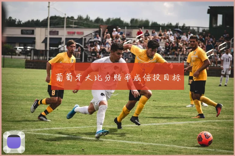 葡萄牙大比分赔率成倍投目标