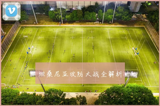 坦桑尼亚攻防大战全解析