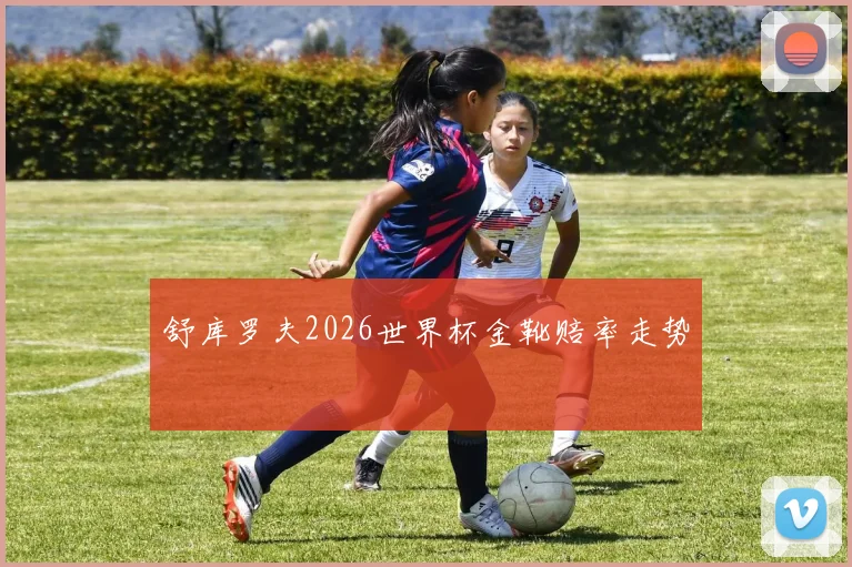 舒库罗夫2026世界杯金靴赔率走势