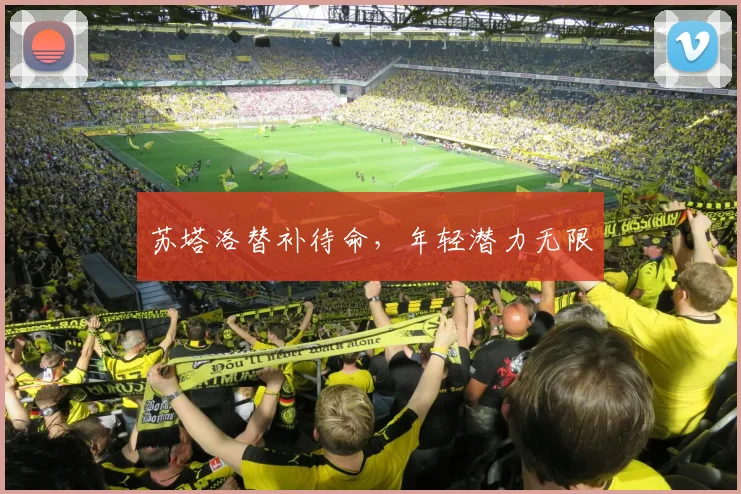 苏塔洛替补待命，年轻潜力无限