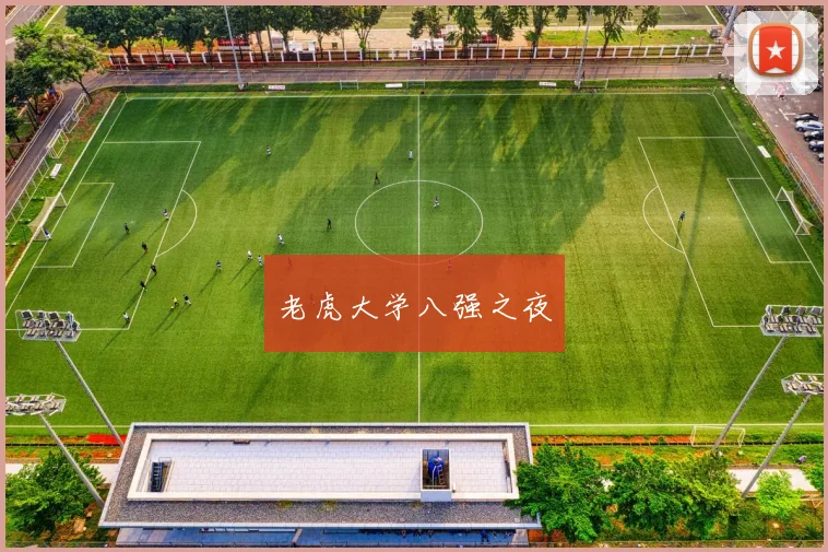 老虎大学八强之夜