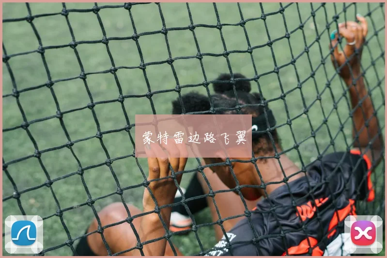 蒙特雷边路飞翼