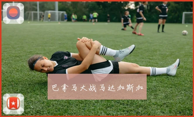 巴拿马大战马达加斯加