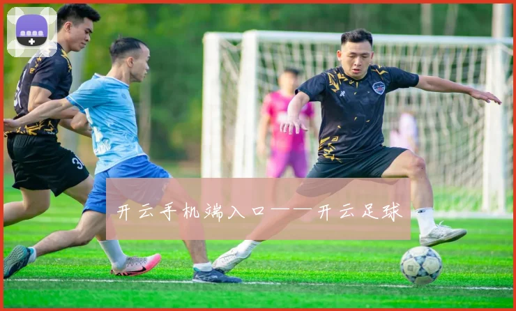 开云手机端入口——开云足球