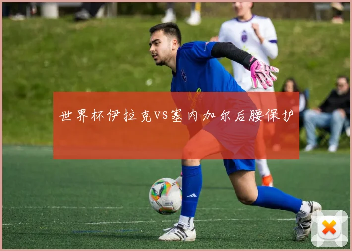世界杯伊拉克vs塞内加尔后腰保护