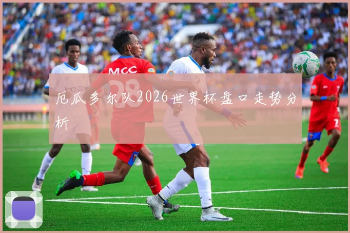 厄瓜多尔队2026世界杯盘口走势分析