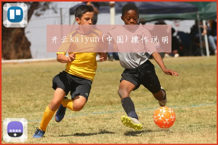 开云kaiyun(中国)操作说明
