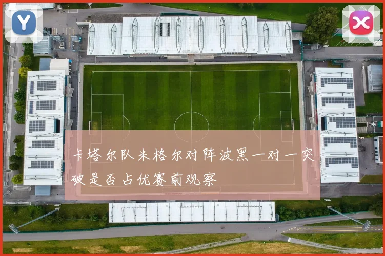 卡塔尔队米格尔对阵波黑一对一突破是否占优赛前观察