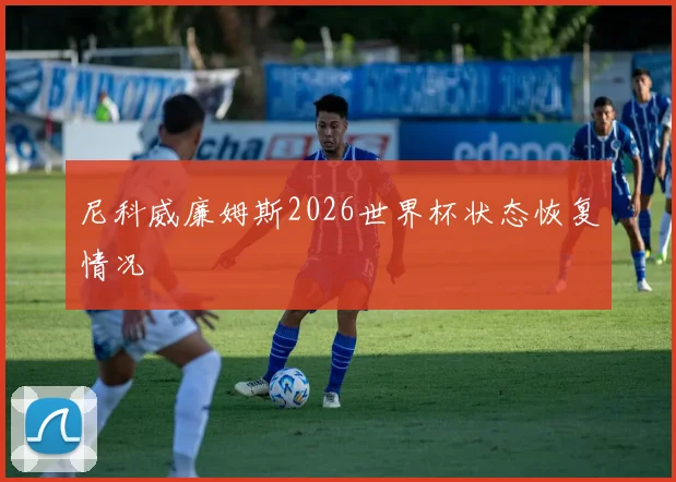 尼科威廉姆斯2026世界杯状态恢复情况