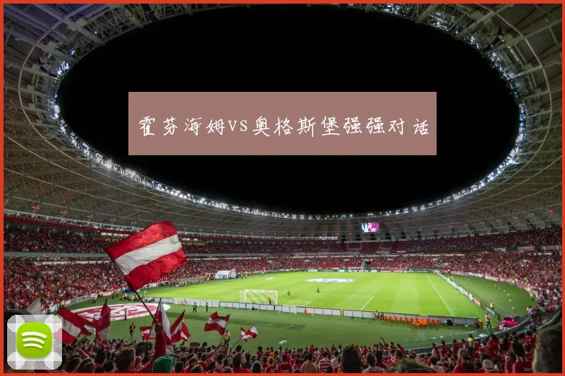 霍芬海姆vs奥格斯堡强强对话